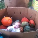 Gunter Farms Corn Maze & Pumpkin Patch photo