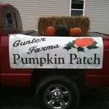 Gunter Farms Corn Maze & Pumpkin Patch photo
