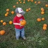 Gunter Farms Corn Maze & Pumpkin Patch photo