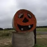 Gunter Farms Corn Maze & Pumpkin Patch photo