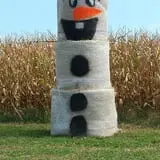 Gunter Farms Corn Maze & Pumpkin Patch photo