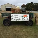 Gunter Farms Corn Maze & Pumpkin Patch photo