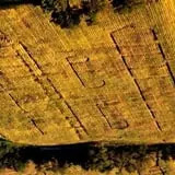 Gunter Farms Corn Maze & Pumpkin Patch photo