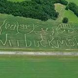 Gunter Farms Corn Maze & Pumpkin Patch photo