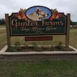Gunter Farms Corn Maze & Pumpkin Patch photo