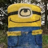 Gunter Farms Corn Maze & Pumpkin Patch photo
