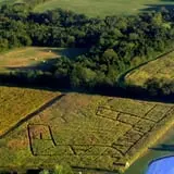 Gunter Farms Corn Maze & Pumpkin Patch photo