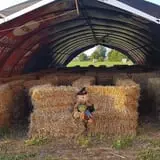 Gunter Farms Corn Maze & Pumpkin Patch photo