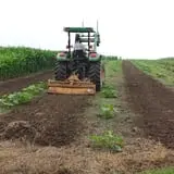 Gunter Farms Corn Maze & Pumpkin Patch photo
