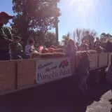 Gunter Farms Corn Maze & Pumpkin Patch photo