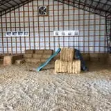 Gunter Farms Corn Maze & Pumpkin Patch photo