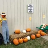 Gunter Farms Corn Maze & Pumpkin Patch photo