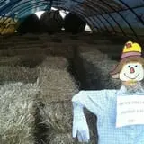 Gunter Farms Corn Maze & Pumpkin Patch photo