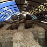 Gunter Farms Corn Maze & Pumpkin Patch photo