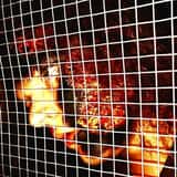 TwistedRoots Haunted Trail photo
