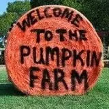Southfork Homestead Farms photo