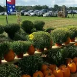 Southfork Homestead Farms photo