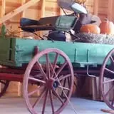 Southfork Homestead Farms photo