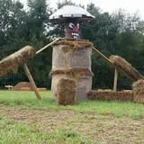 Southfork Homestead Farms photo