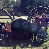 Southfork Homestead Farms photo