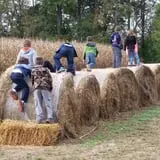 Southfork Homestead Farms photo