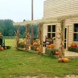 Southfork Homestead Farms photo