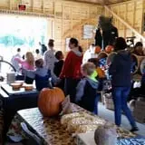 Southfork Homestead Farms photo