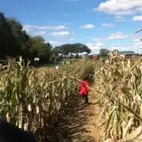Busy Barns Adventure Farm photo
