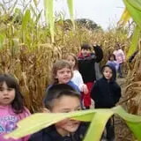 Busy Barns Adventure Farm photo