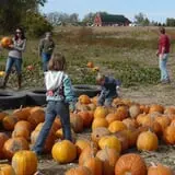Busy Barns Adventure Farm photo