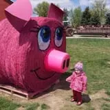 Busy Barns Adventure Farm photo