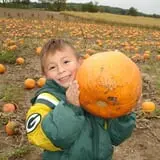Busy Barns Adventure Farm photo
