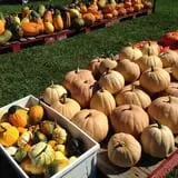 Busy Barns Adventure Farm photo
