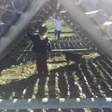 Busy Barns Adventure Farm photo