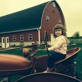 Busy Barns Adventure Farm photo