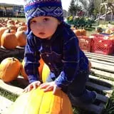 Busy Barns Adventure Farm photo