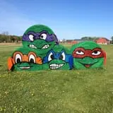 Busy Barns Adventure Farm photo