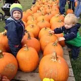 Busy Barns Adventure Farm photo