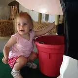 Busy Barns Adventure Farm photo