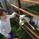 Busy Barns Adventure Farm photo