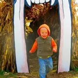 Busy Barns Adventure Farm photo