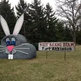 Busy Barns Adventure Farm photo