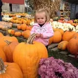 Busy Barns Adventure Farm photo