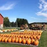 Busy Barns Adventure Farm photo