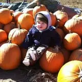Busy Barns Adventure Farm photo