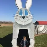 Busy Barns Adventure Farm photo