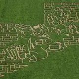 Corn Maze at Yogi Bears Jellystone Park photo