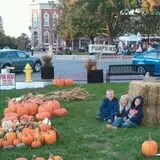 Zaiser Pumpkin Farm photo