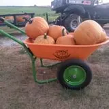 Zaiser Pumpkin Farm photo
