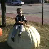 Zaiser Pumpkin Farm photo